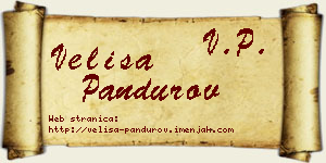 Veliša Pandurov vizit kartica